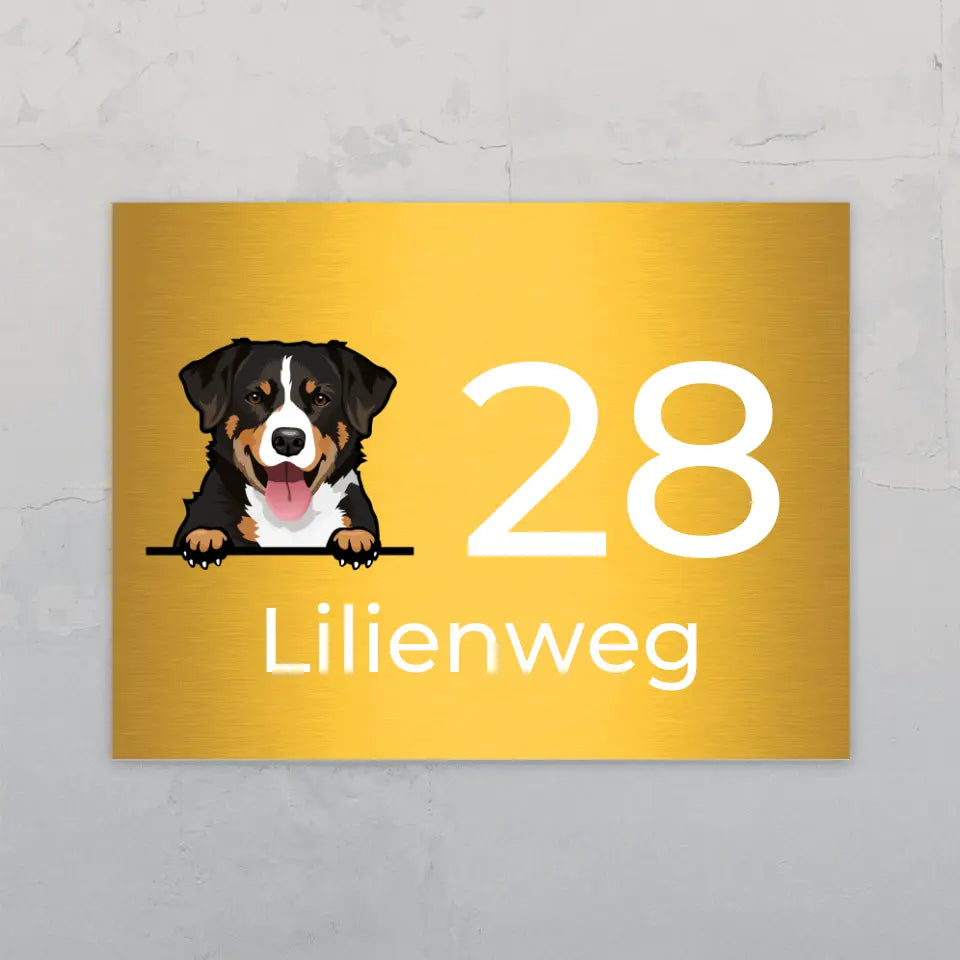 Spähende Fellnasen und Hausnummer - Individuelles Türschild