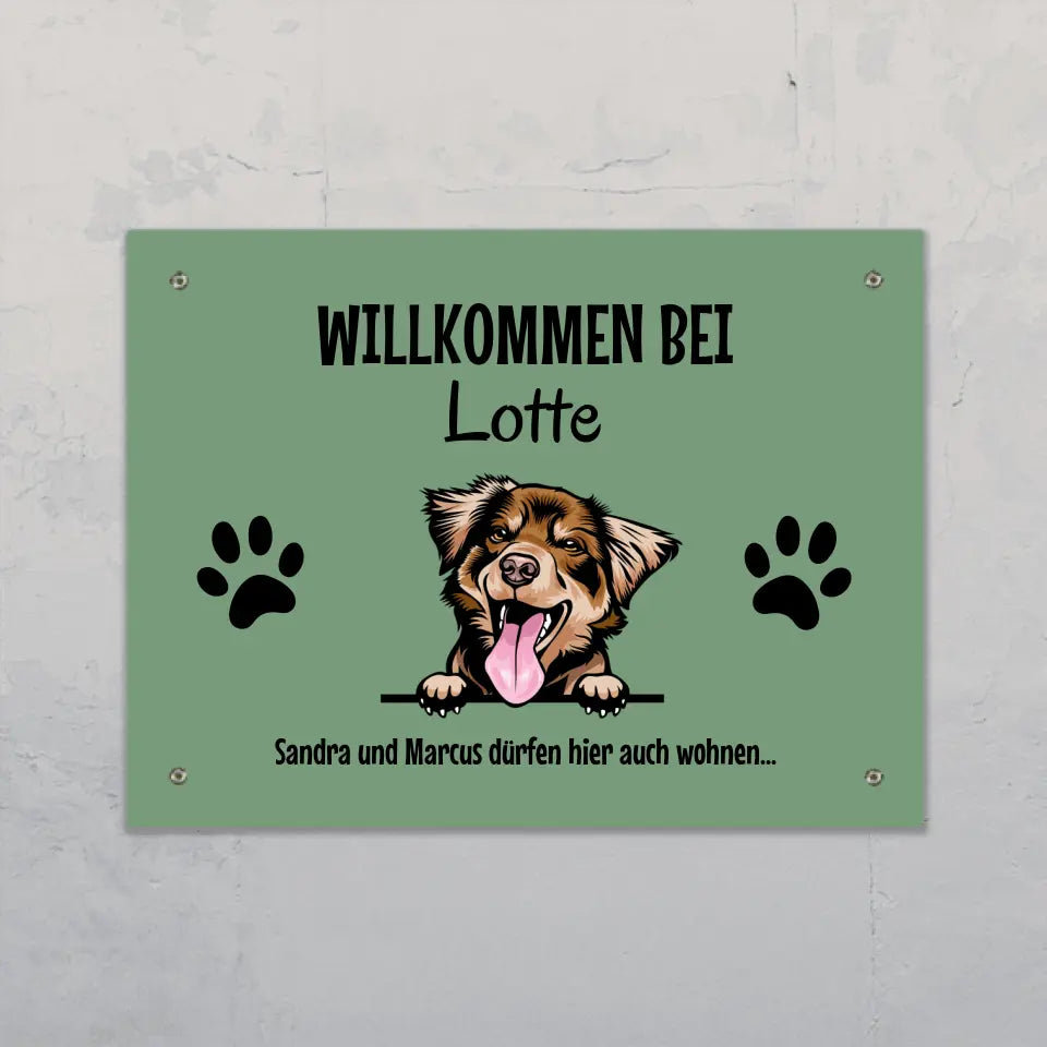 Spähende Haustiere - Individuelles Türschild