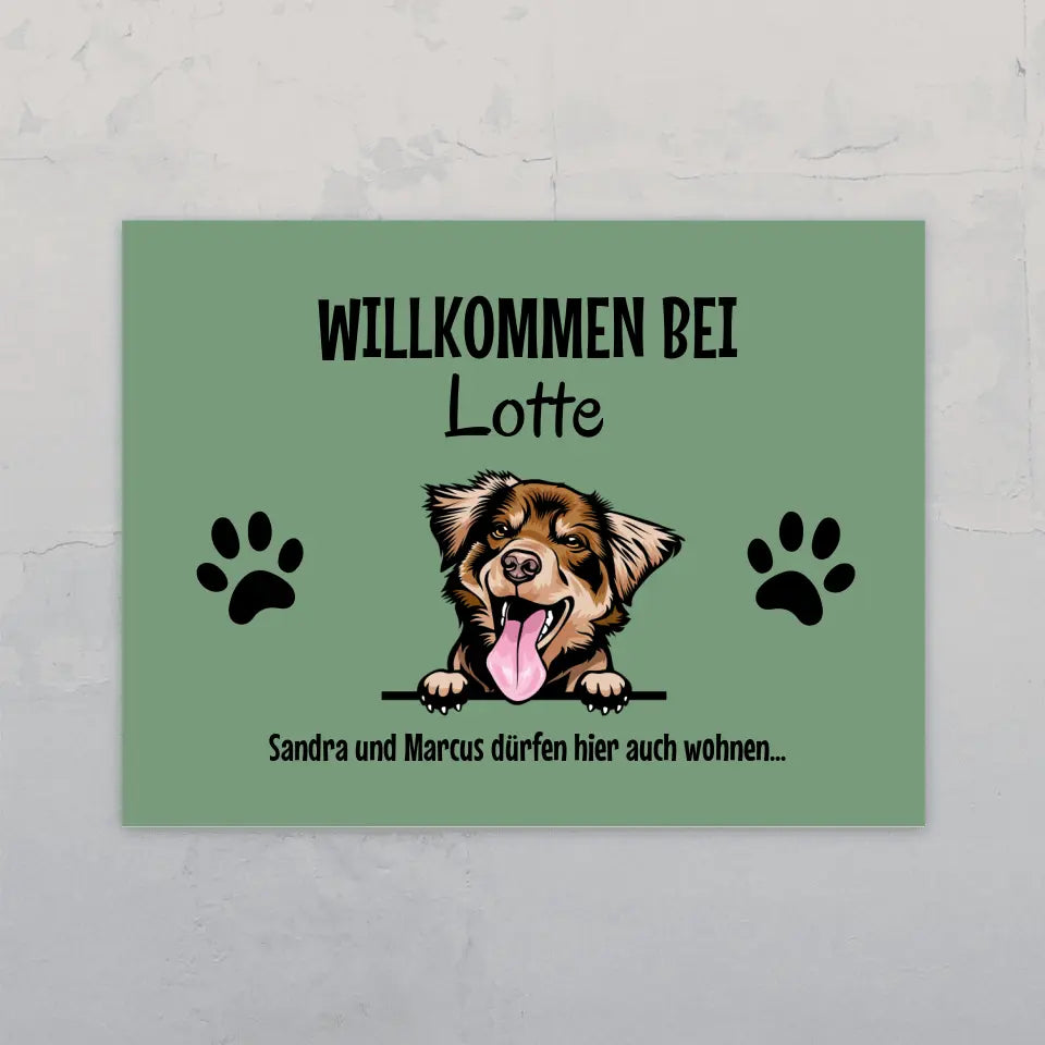 Spähende Haustiere - Individuelles Türschild
