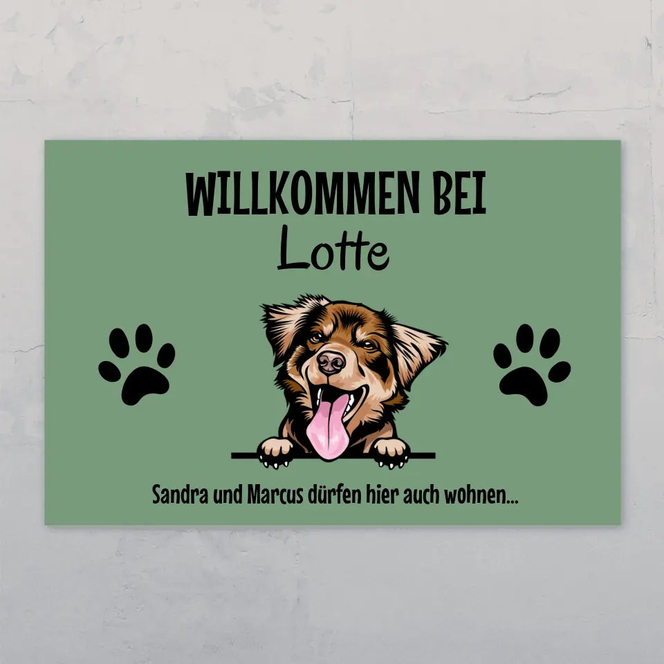 Spähende Haustiere - Individuelles Türschild