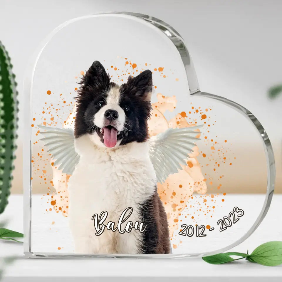 Haustierportrait - Individuelles Glasherz