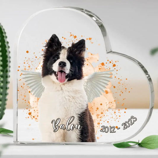 Haustierportrait - Individuelles Glasherz