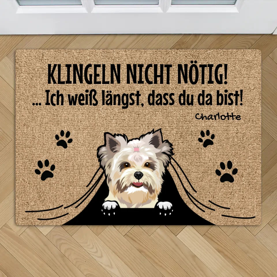 Klingeln nicht nötig / Individuelle Fußmatte