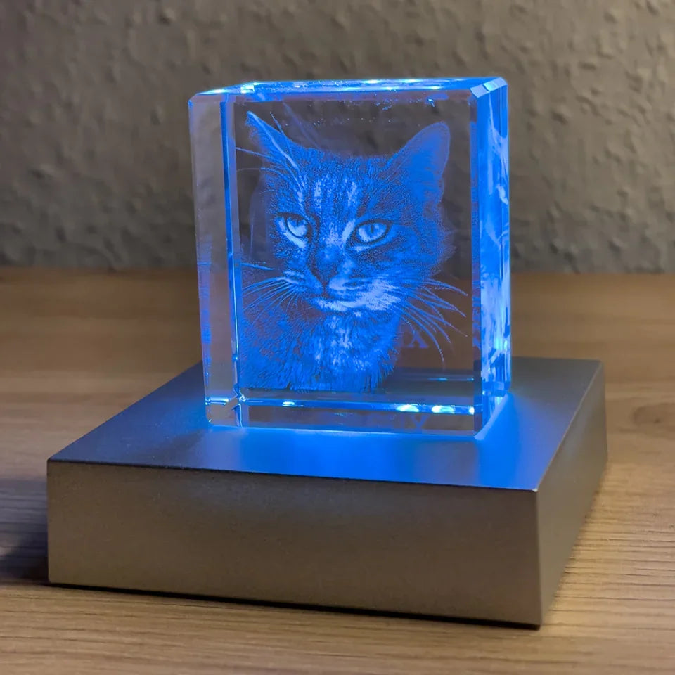 Katze-blau-klein