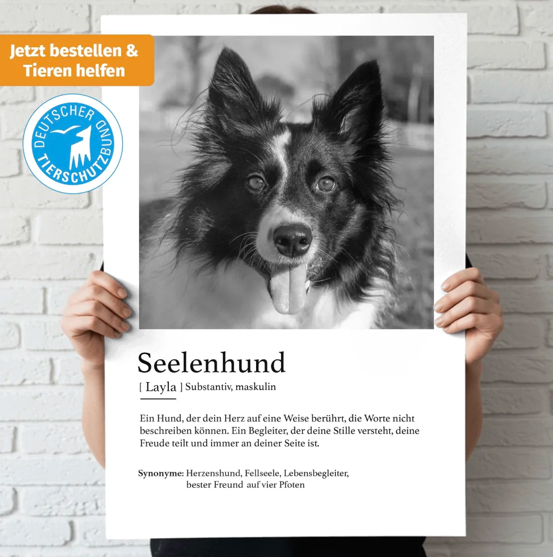 Definition Seelentier (Tierschutz Edition) - Individuelles Poster