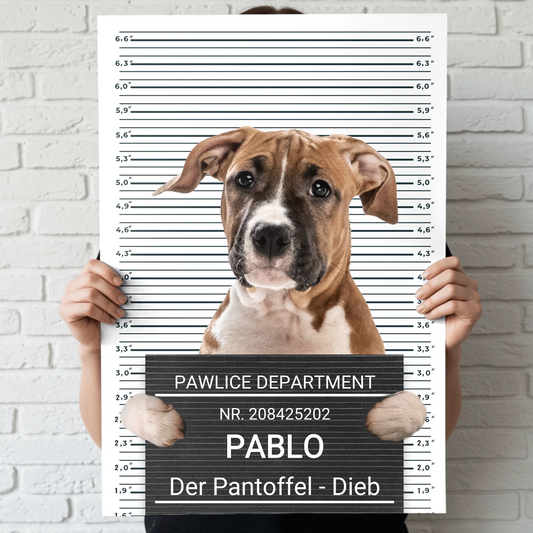 Mugshot - Individuelles Poster