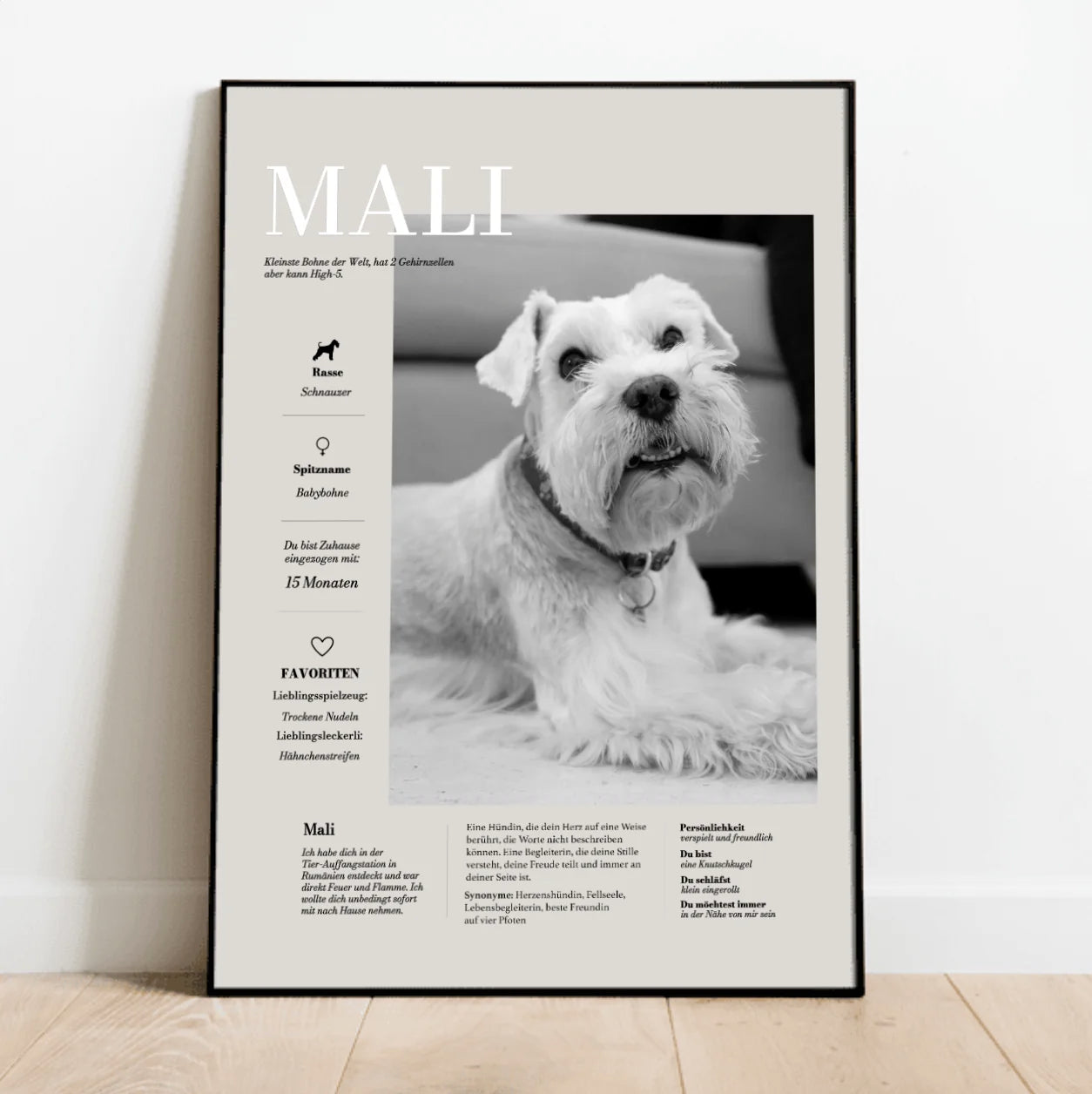 My Pet Story - Individuelles Poster