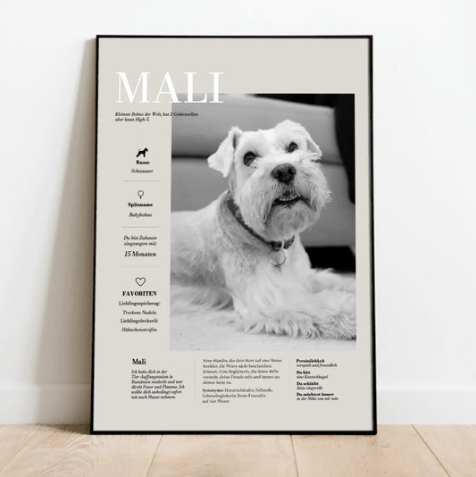 My Pet Story - Individuelles Poster