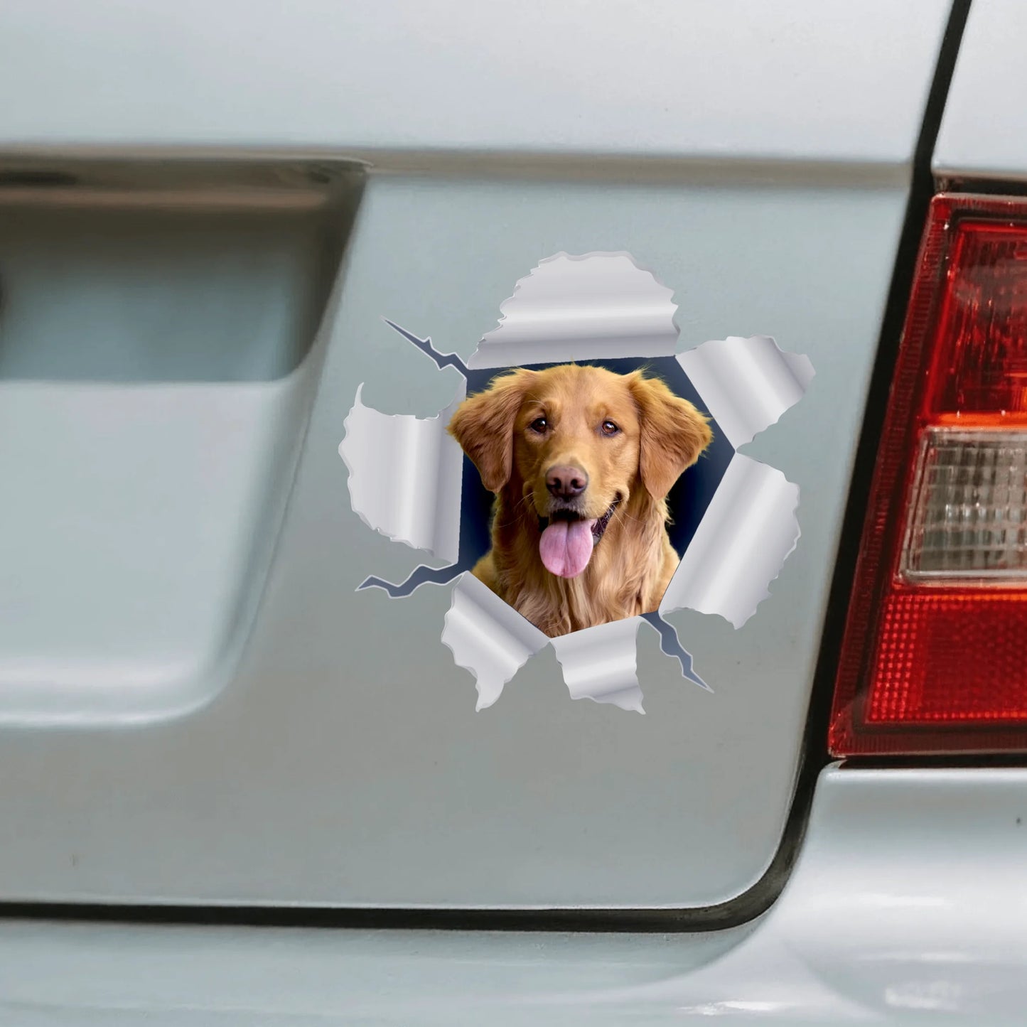 Spähendes Foto - Individueller Autoaufkleber