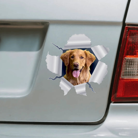 Spähendes Foto - Individueller Autoaufkleber