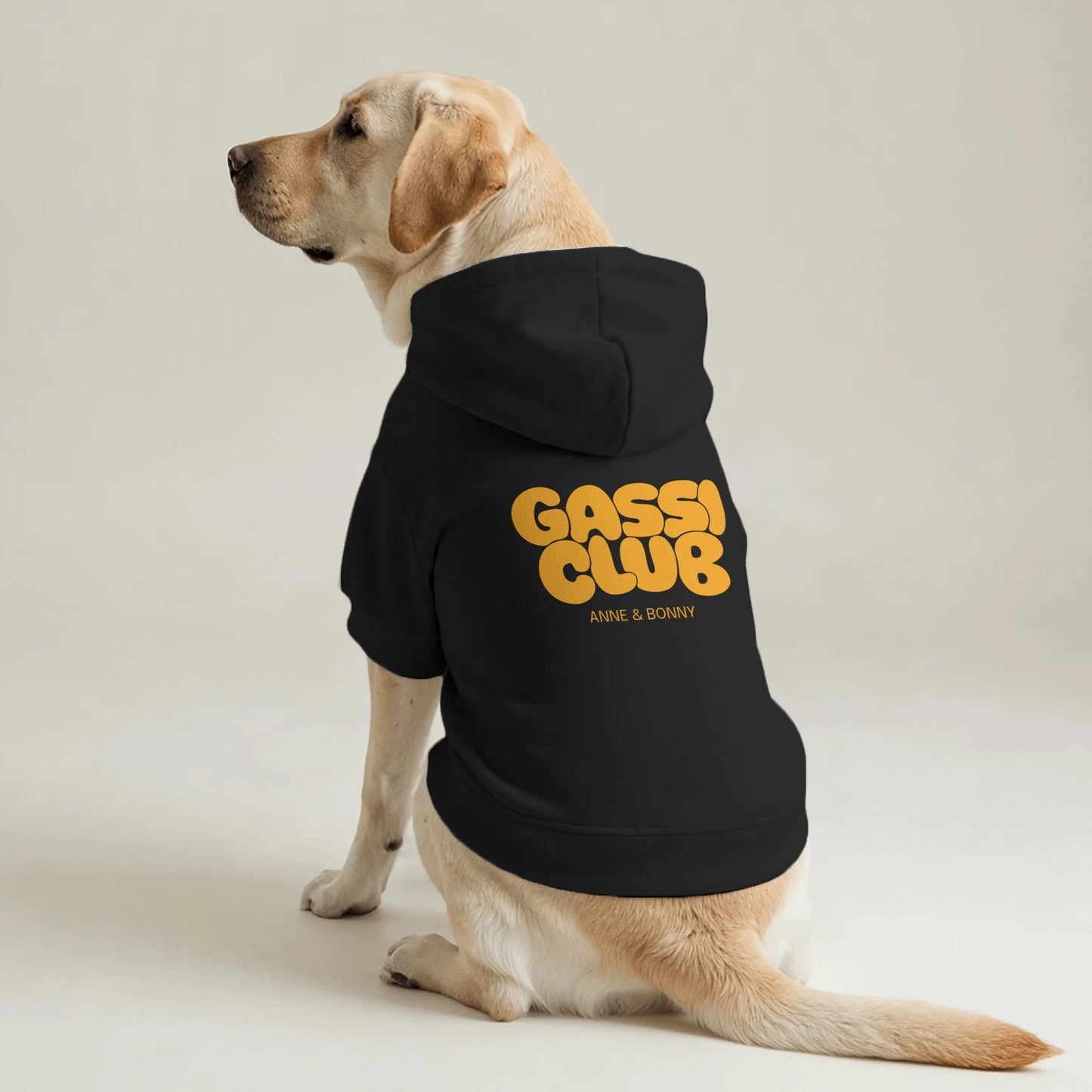 Pet Hoodie Back 2