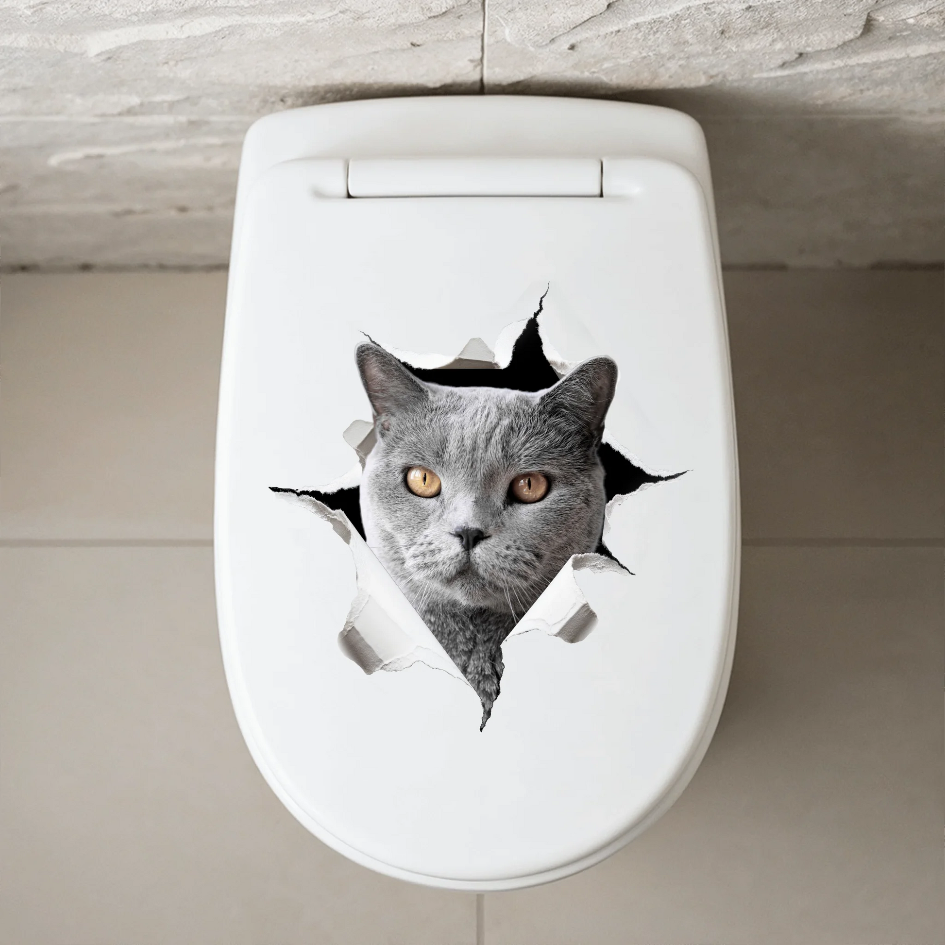 WC Aufkleber SHOP 2
