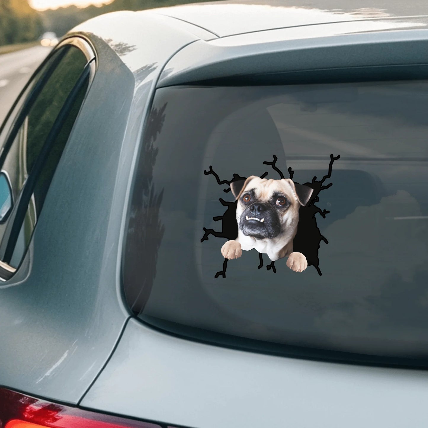 Car Sticker - SHOP NEW 2