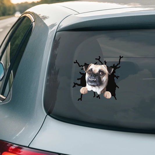 Car Sticker - SHOP NEW 2