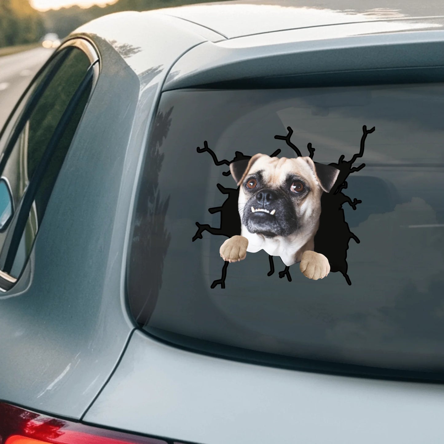 Car Sticker - SHOP NEW 2