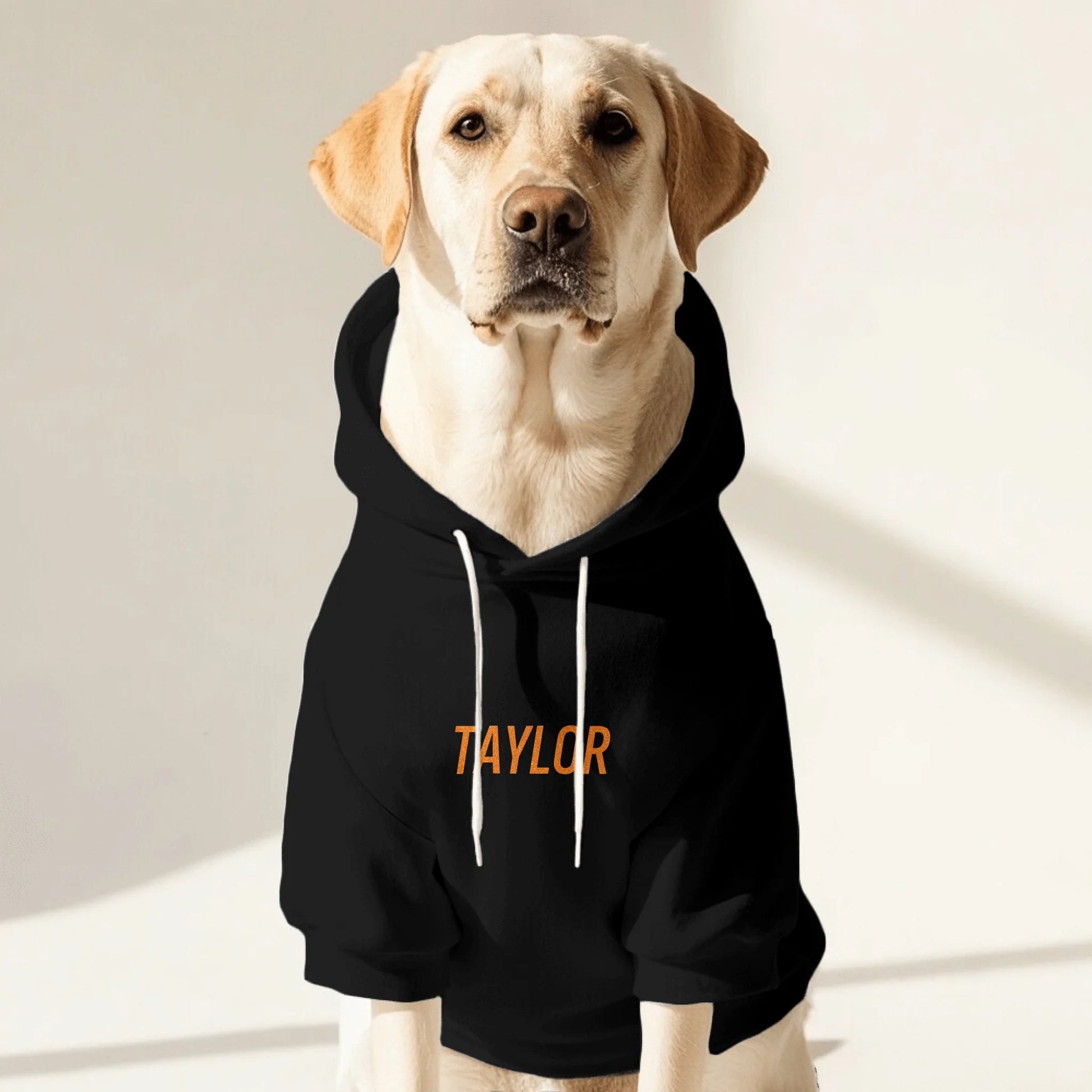 Pet Hoodie Front
