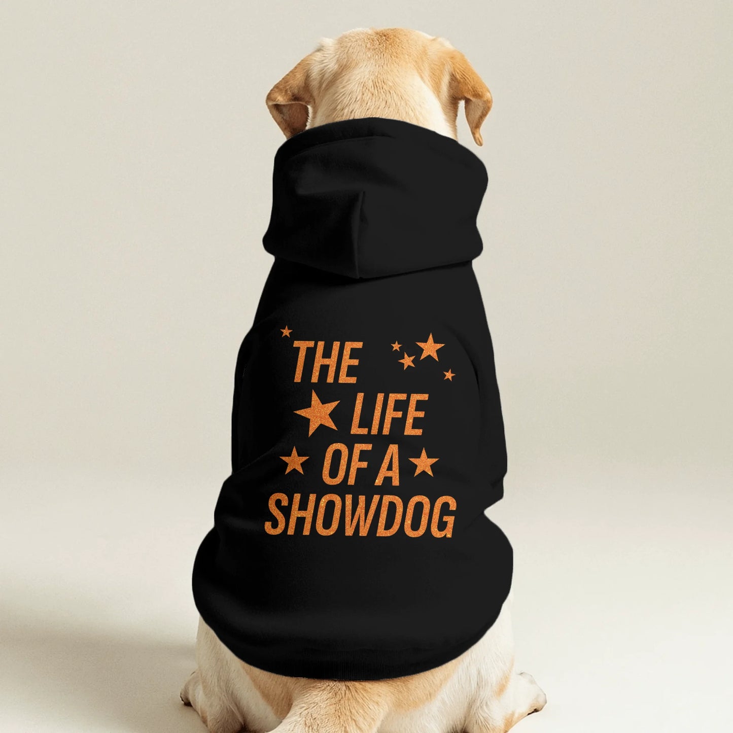 Pet Hoodie Back