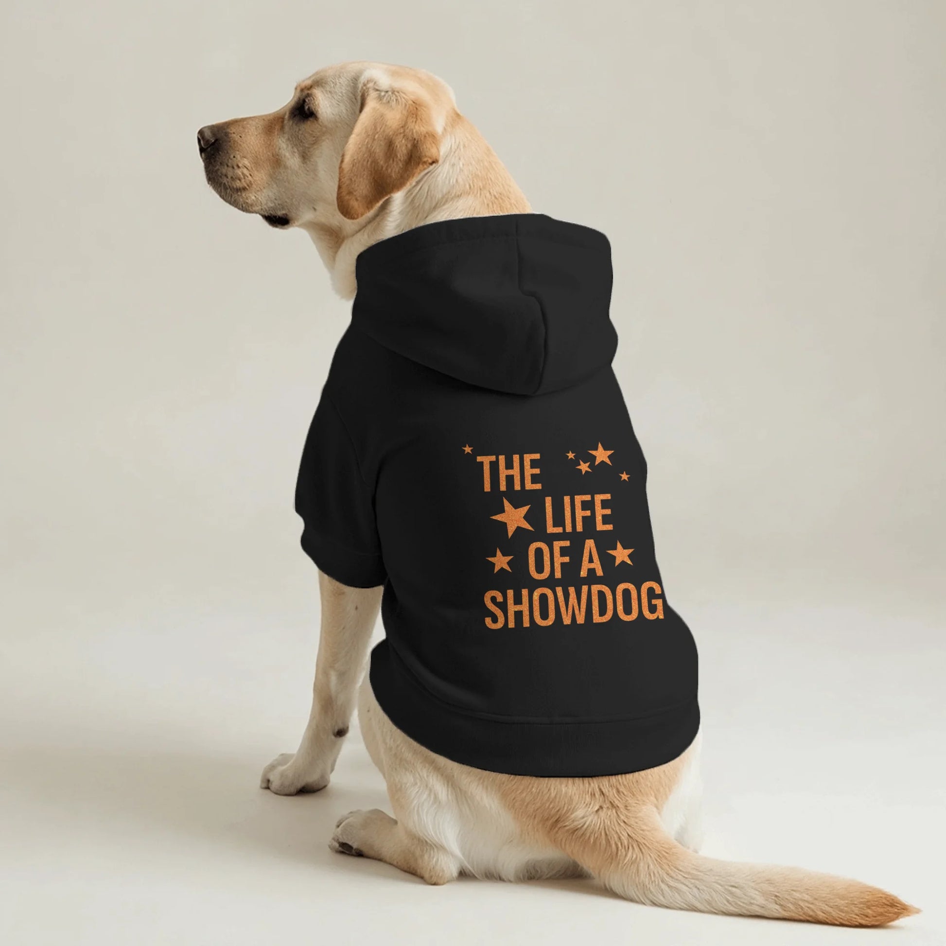 Pet Hoodie Back 2