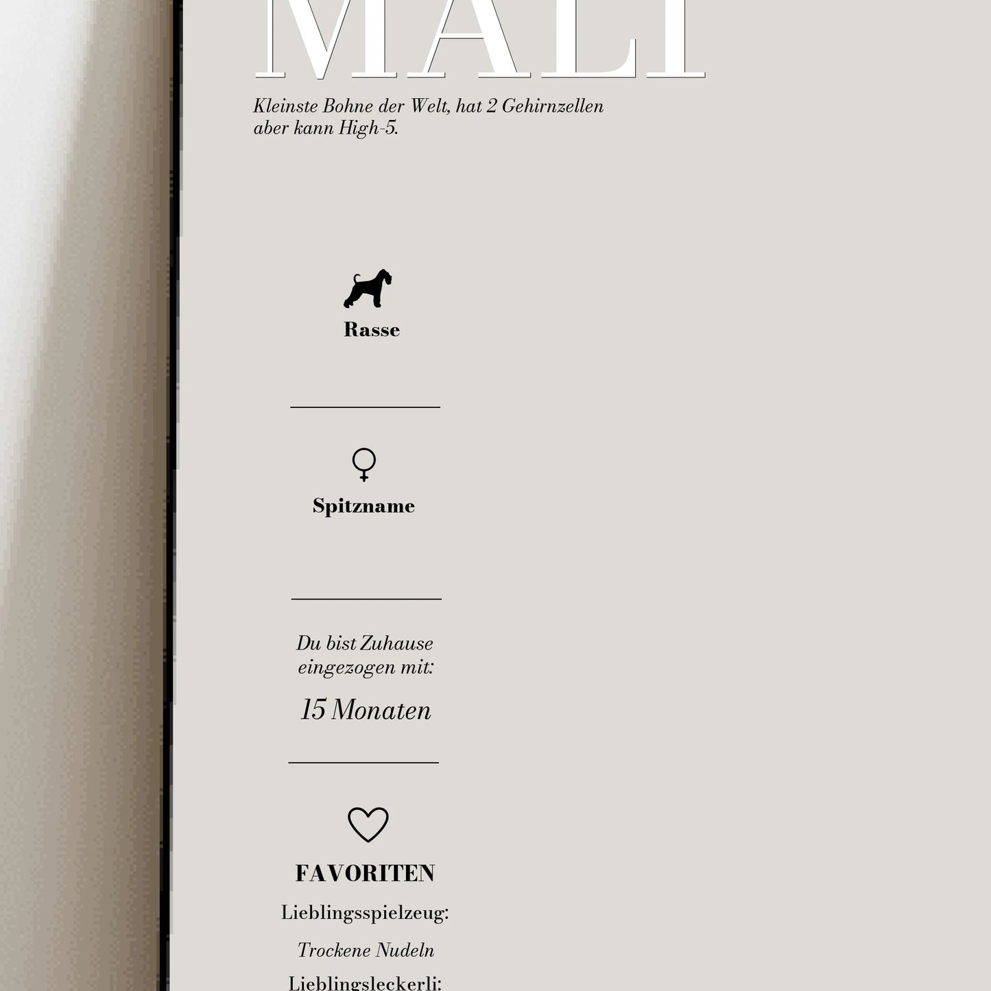 My Pet Story - Individuelles Poster