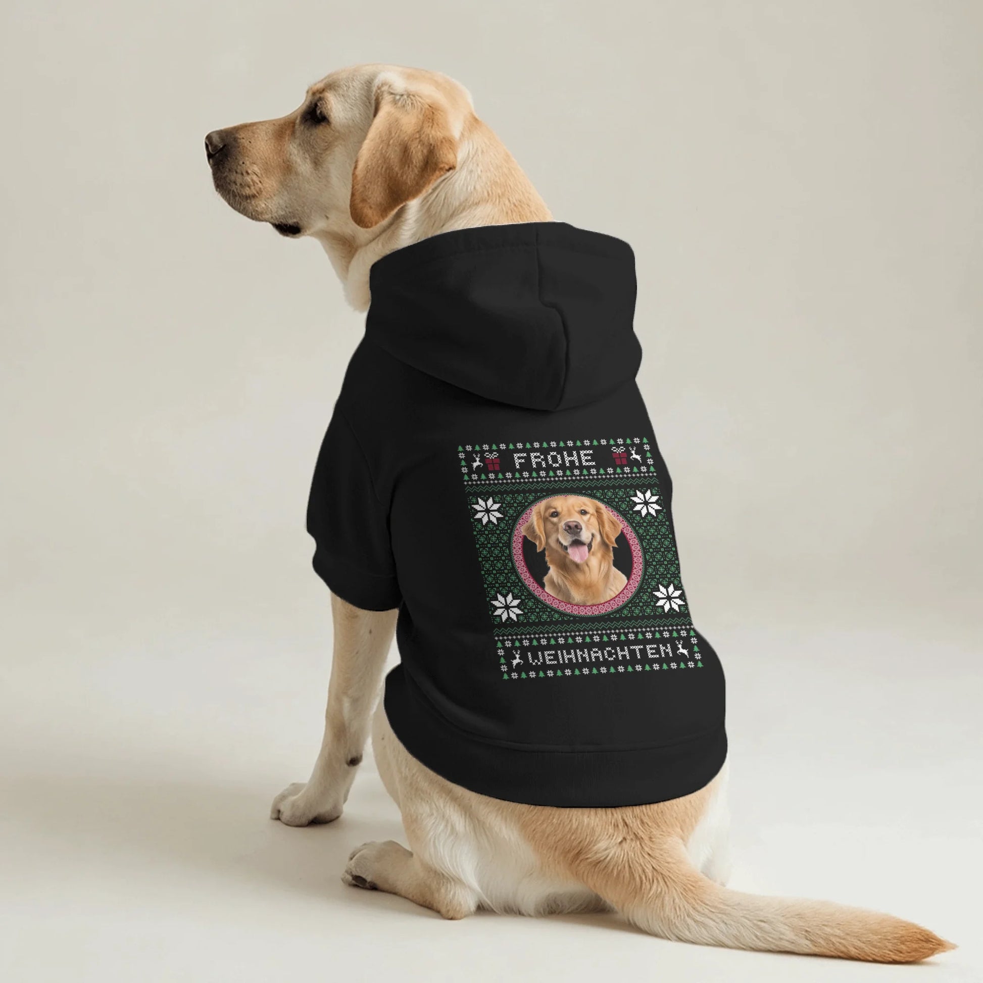 Pet Hoodie Back 2