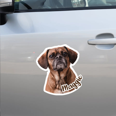 Dein Haustierfoto - Individueller Autoaufkleber - Featured Image