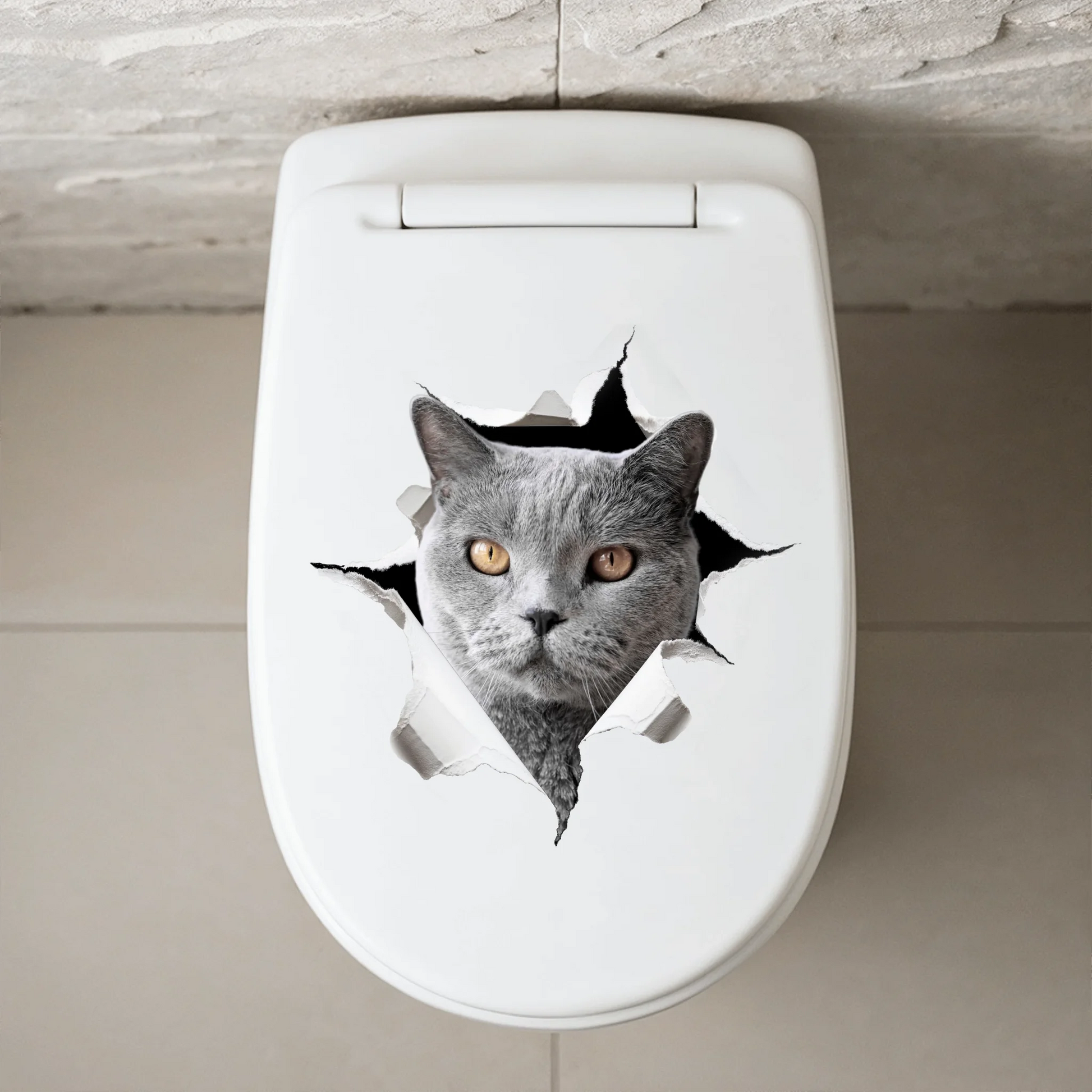 WC Aufkleber SHOP 2