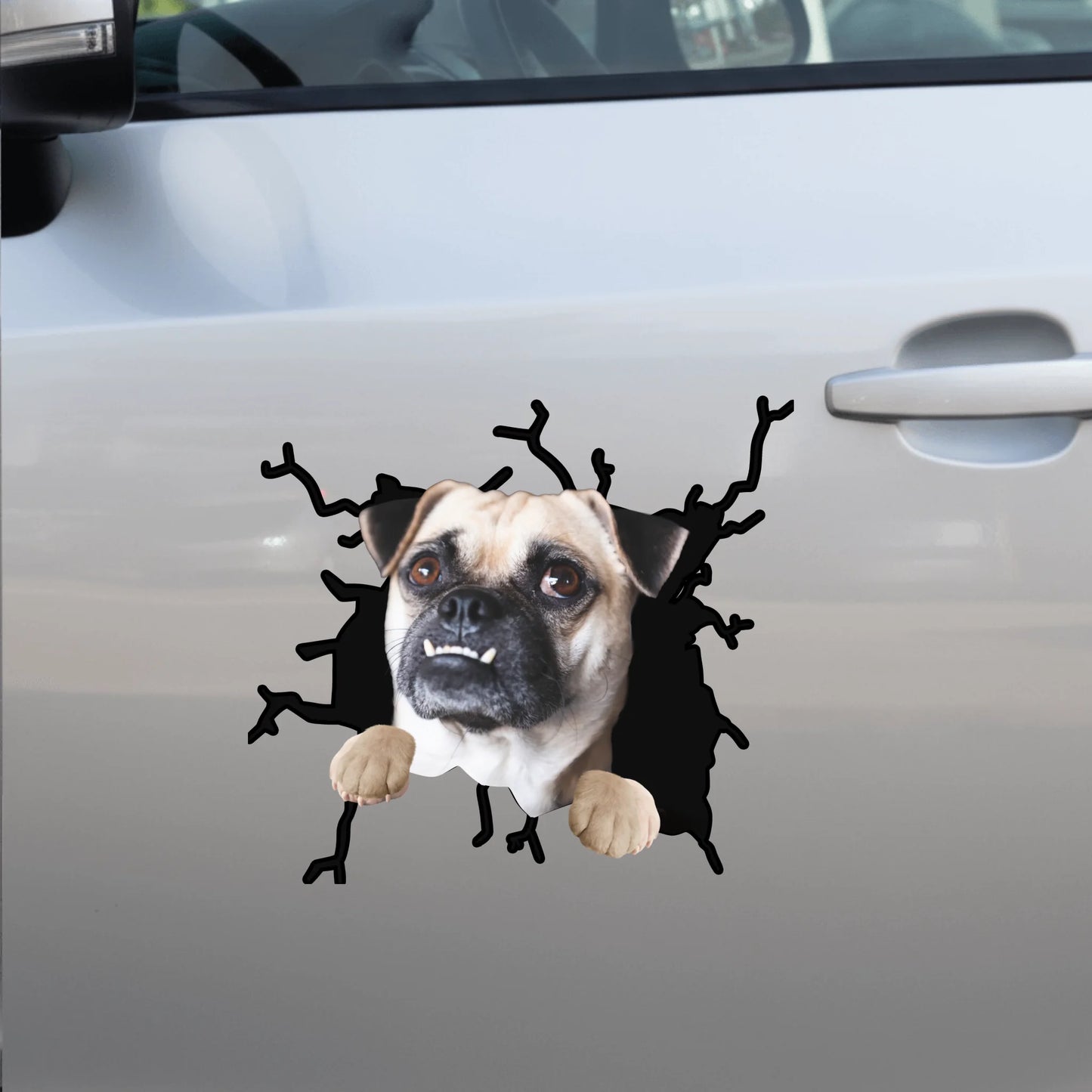 Car Sticker - SHOP NEW side door (1)