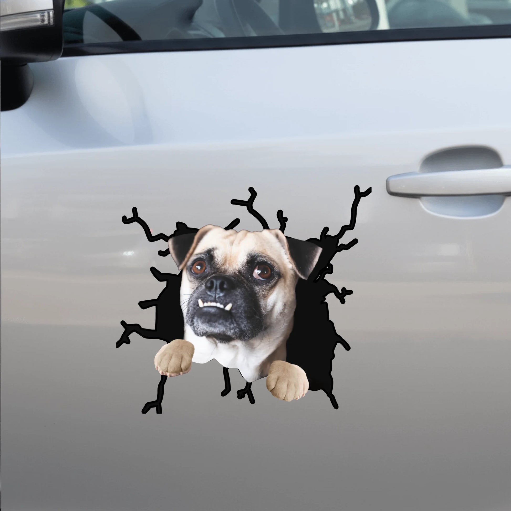 Car Sticker - SHOP NEW side door (1)