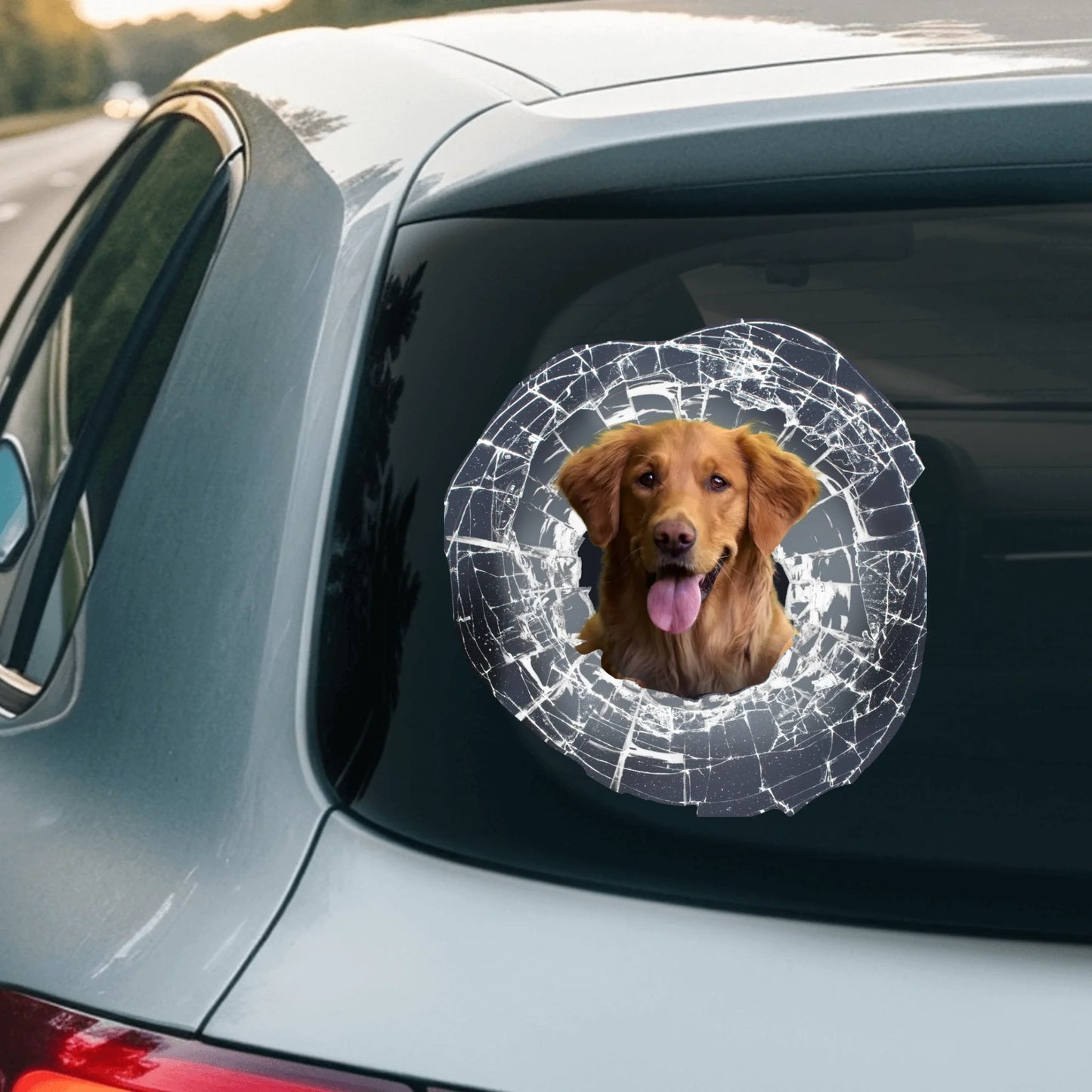 Car Sticker - SHOP NEW 2