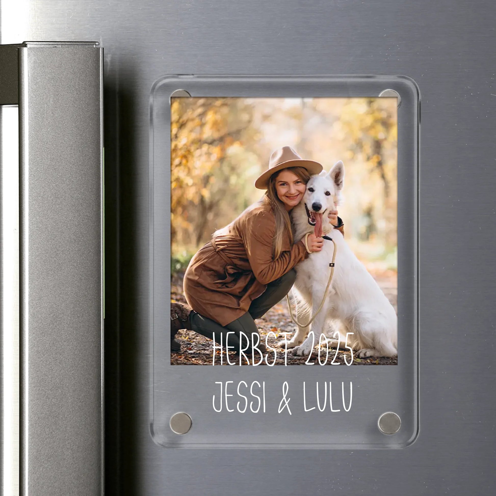 Acrylic Magnet SHOP DE bottom layer