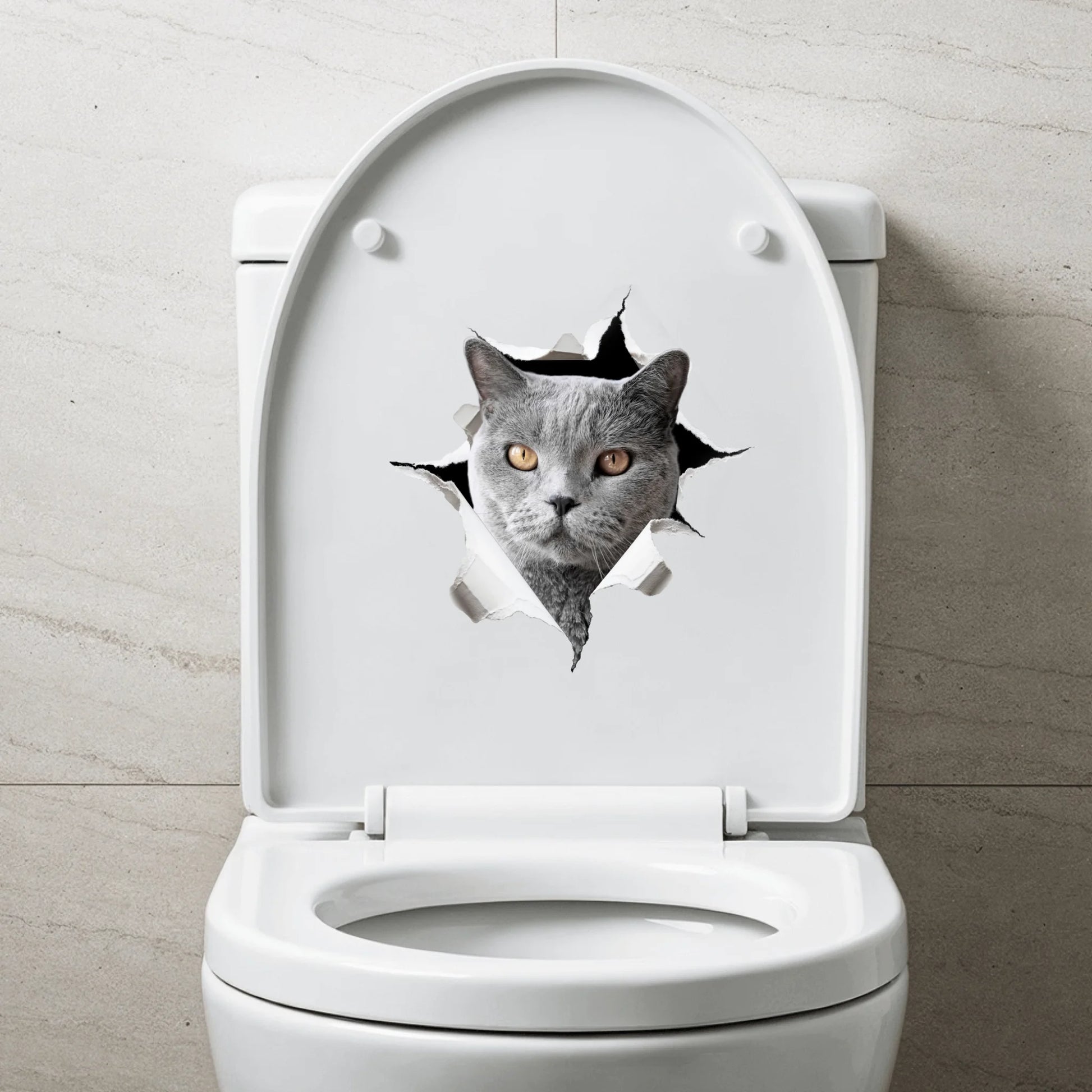 WC Aufkleber SHOP 1 (1)