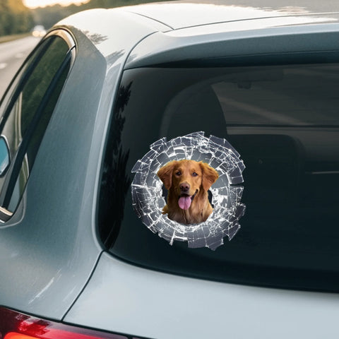 Spähendes Foto Glas - Individueller Autoaufkleber - Featured Image