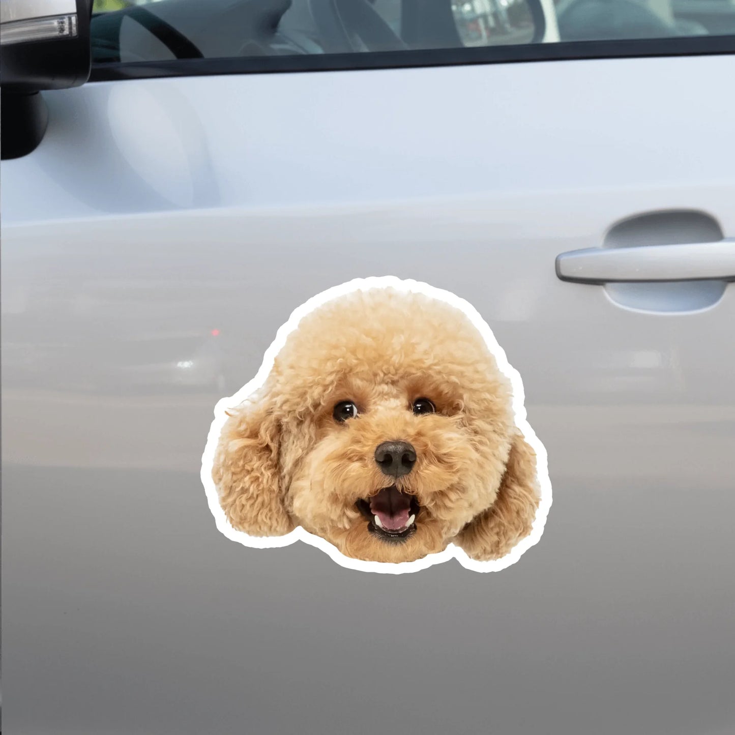 Car Sticker - SHOP NEW side door (1)