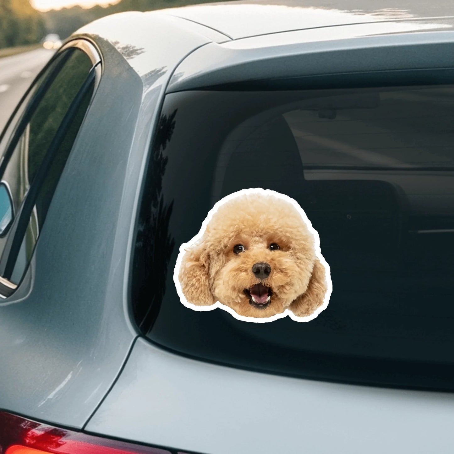 Car Sticker - SHOP NEW 2