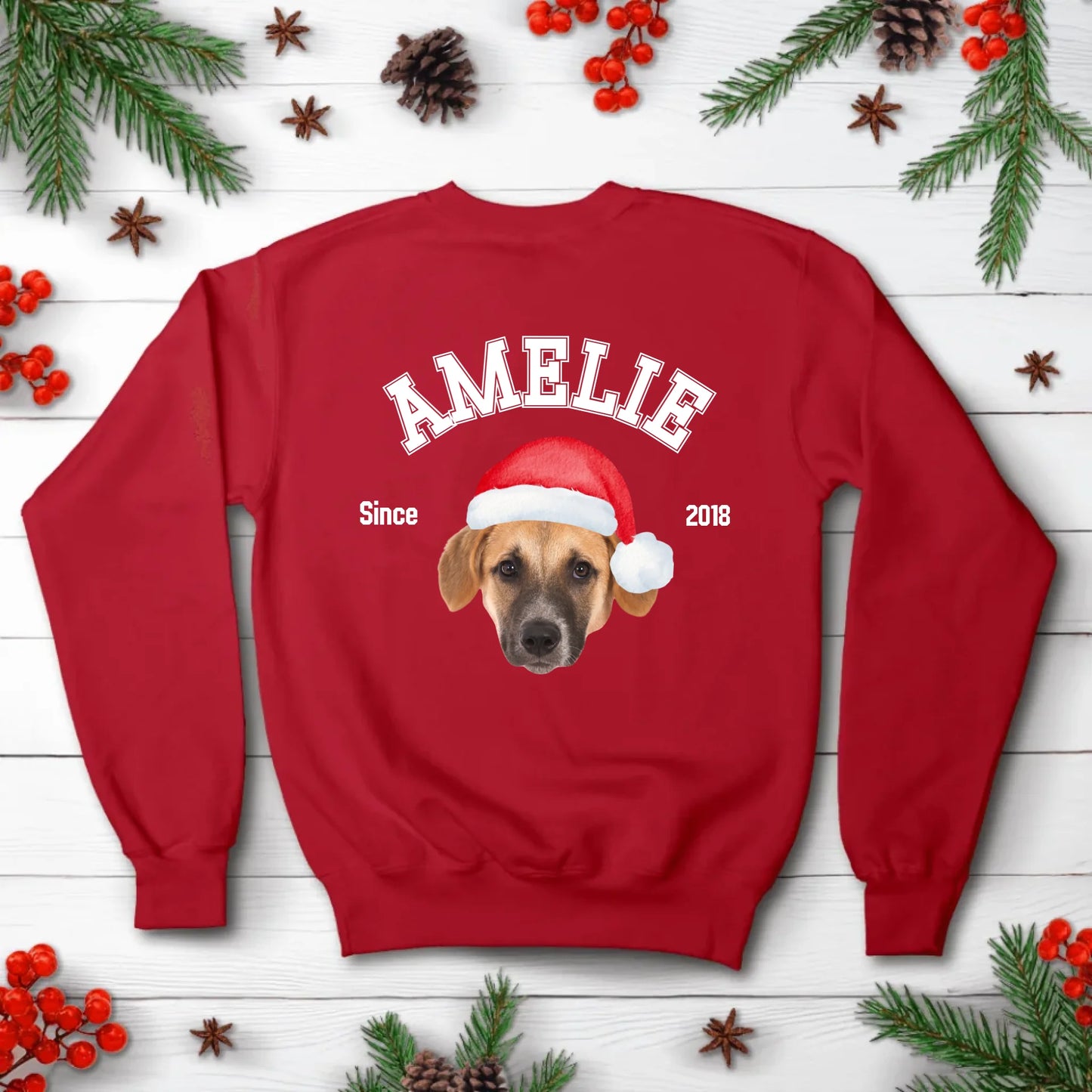 College - Individueller Weihnachtspullover