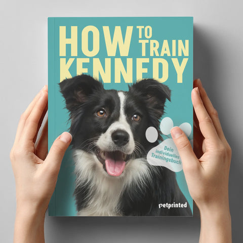 How to: Dein personalisiertes Trainingsbuch - Featured Image