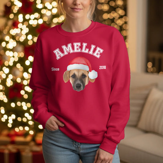 College - Individueller Weihnachtspullover