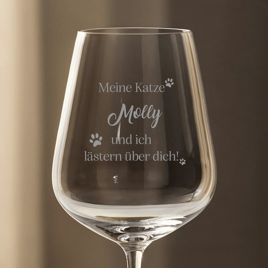 Meine Katze und ich lästern über dich - Individuelles Weinglas