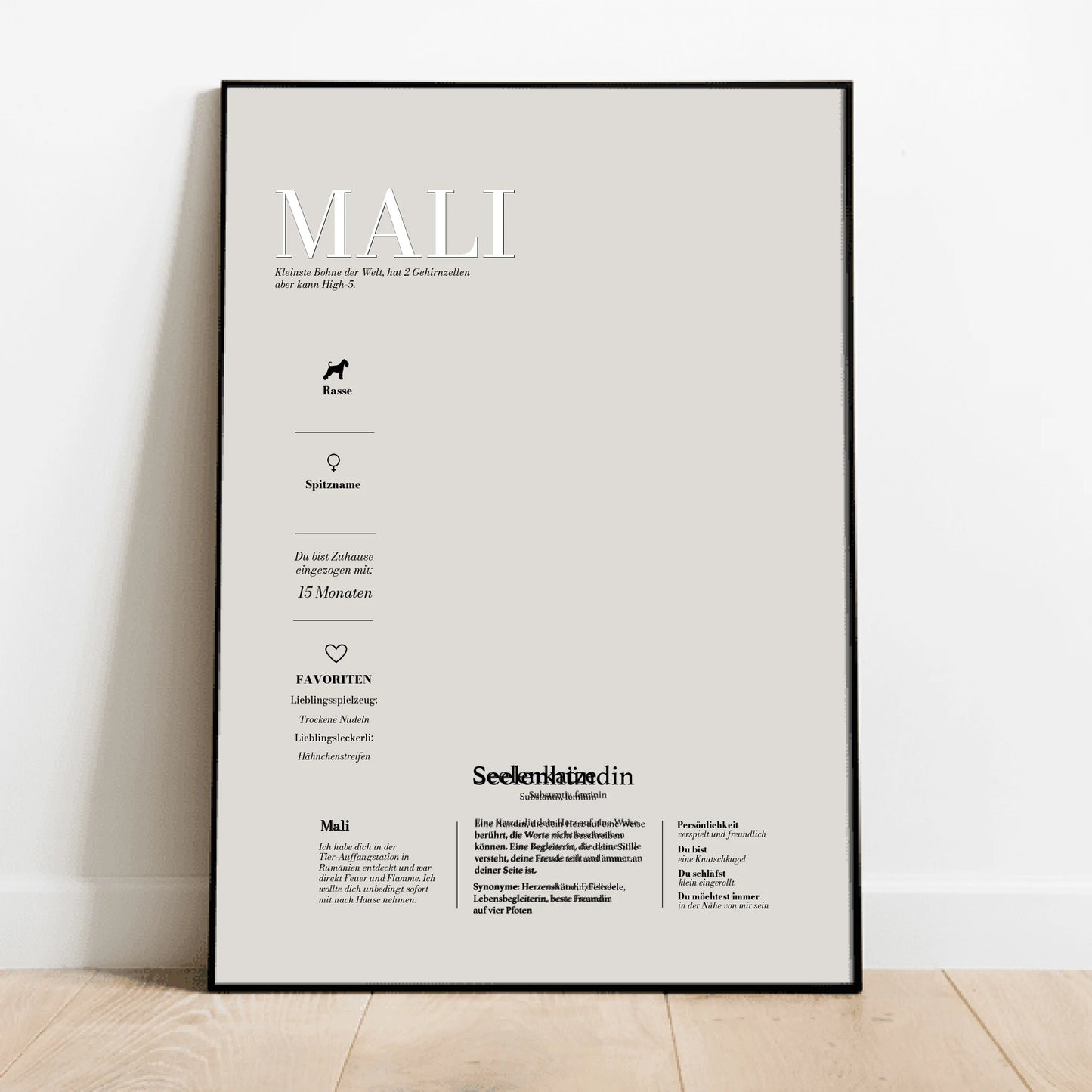 My Pet Story - Individuelles Poster