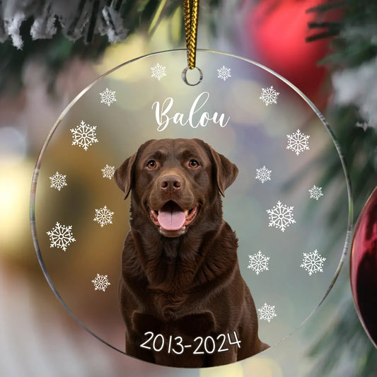 Haustierportrait - Individueller Acrylanhänger