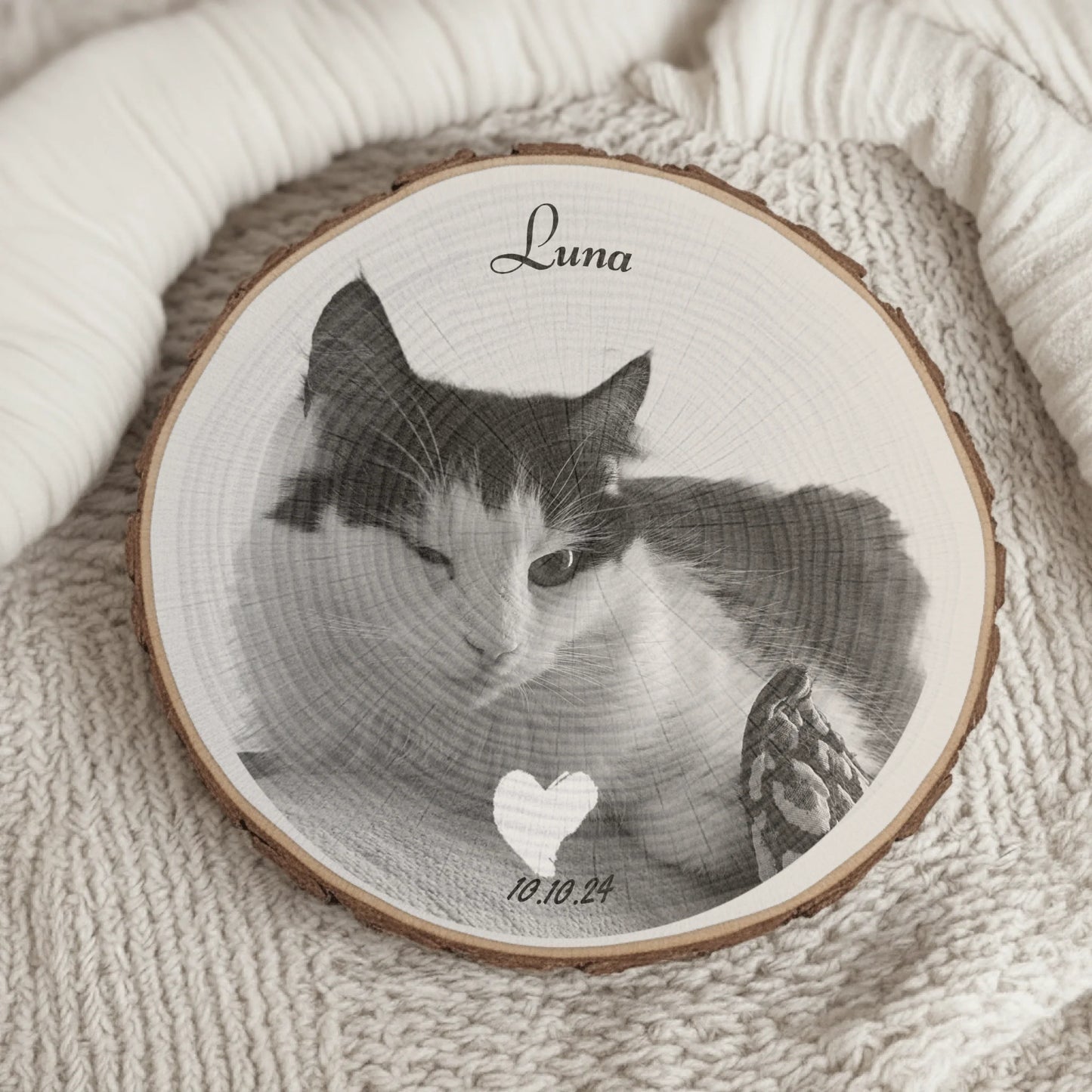 Baumstamm SHOP 11_2025_EM