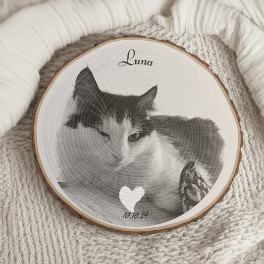 Baumstamm SHOP 11_2025_EM