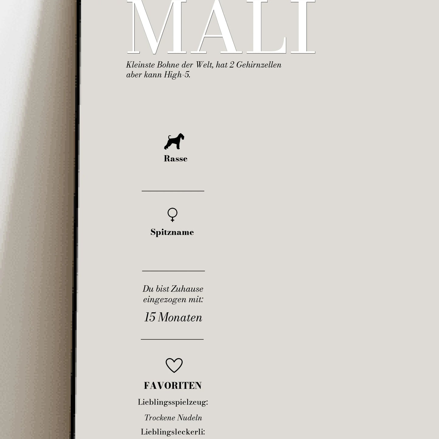 My Pet Story - Individuelles Poster