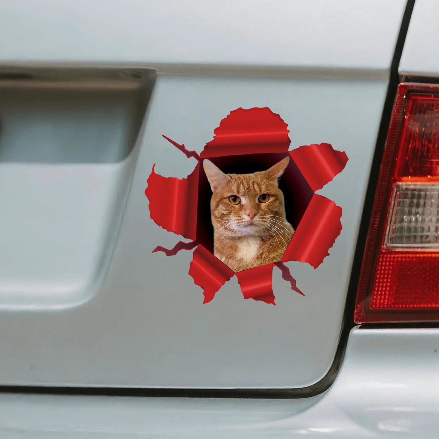 Car Sticker - SHOP NEW 1
