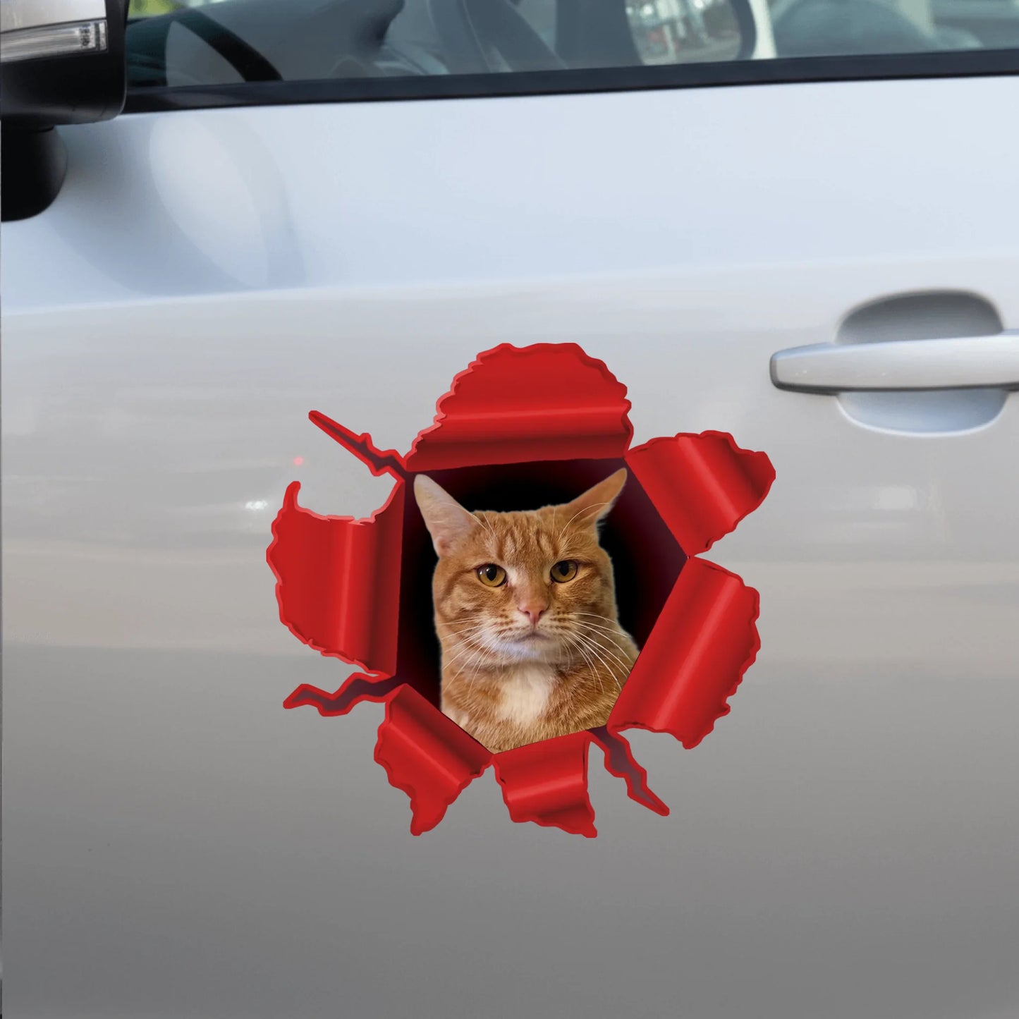 Car Sticker - SHOP NEW side door (1)