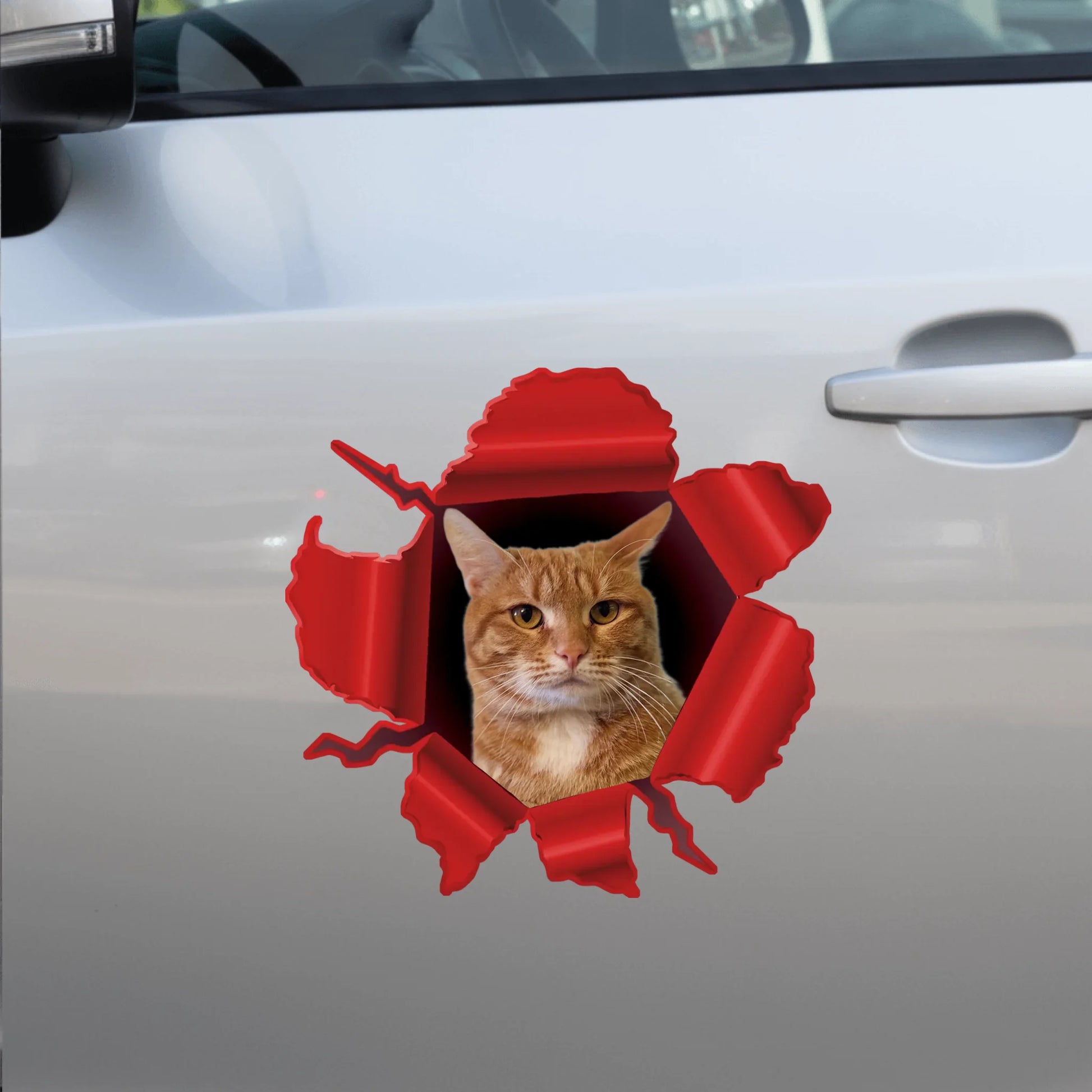 Car Sticker - SHOP NEW side door (1)