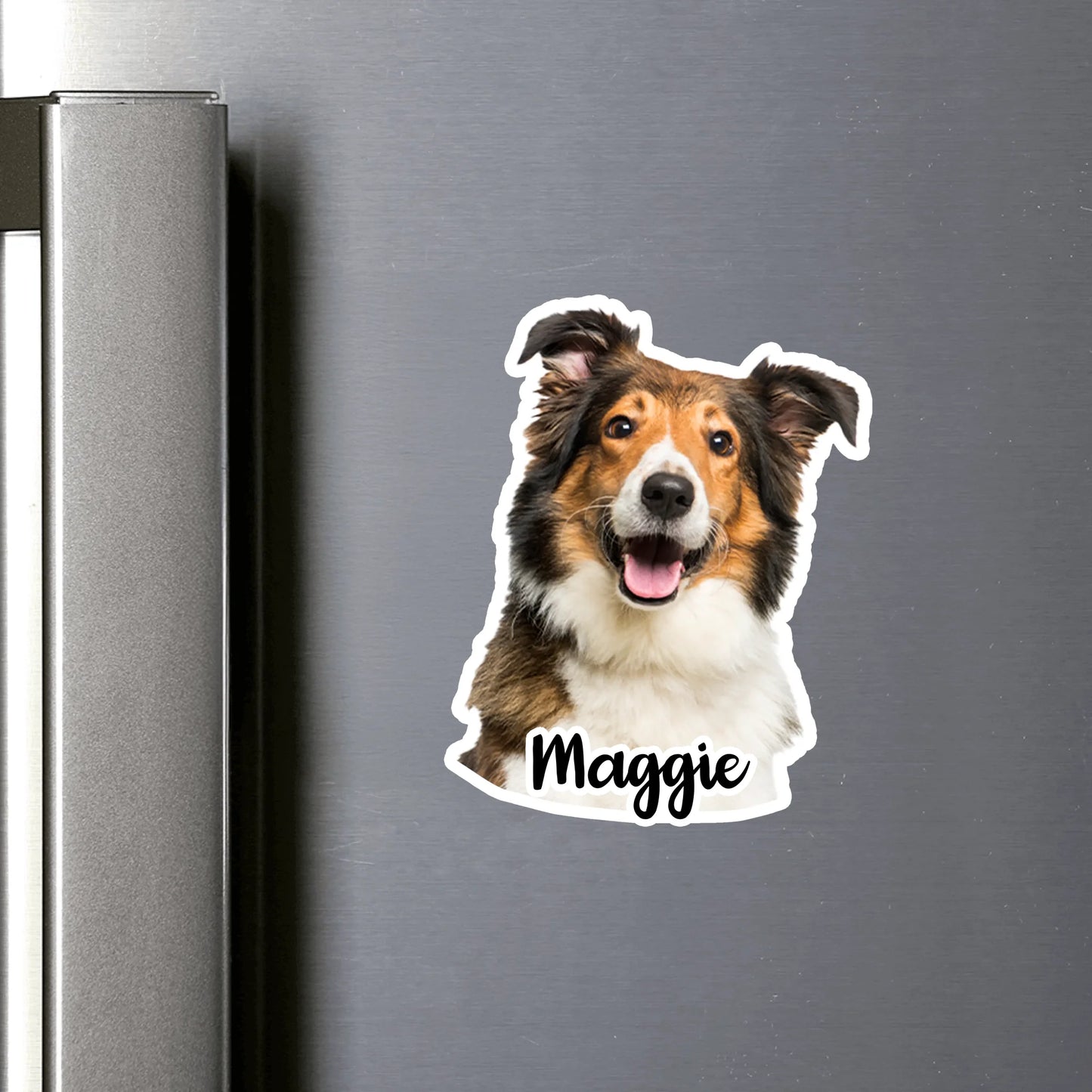 only fridge