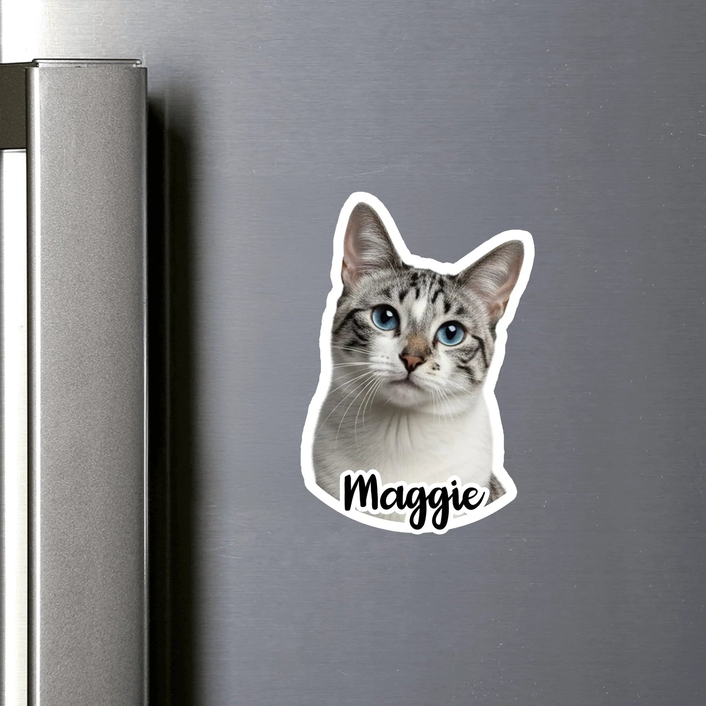 only fridge