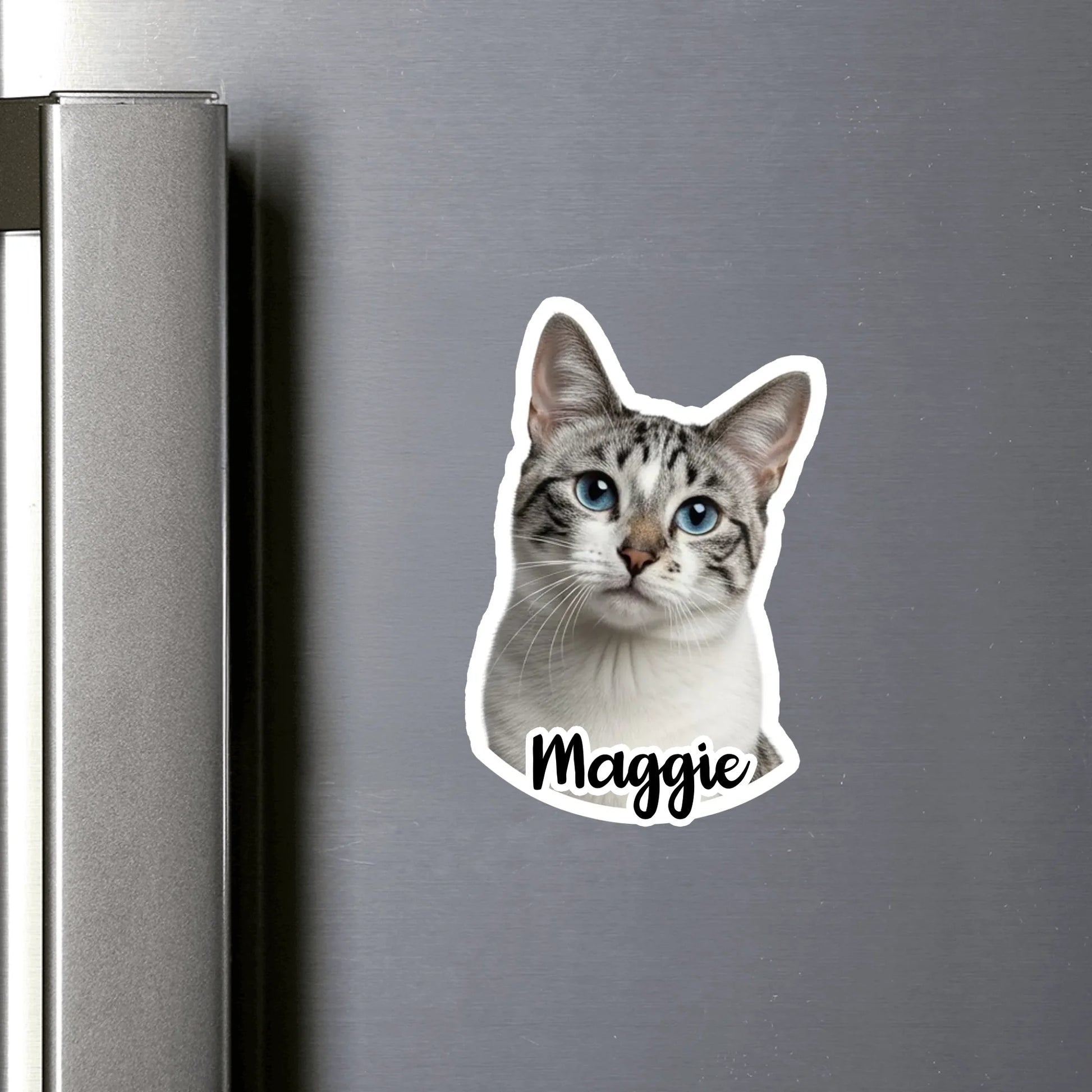 only fridge