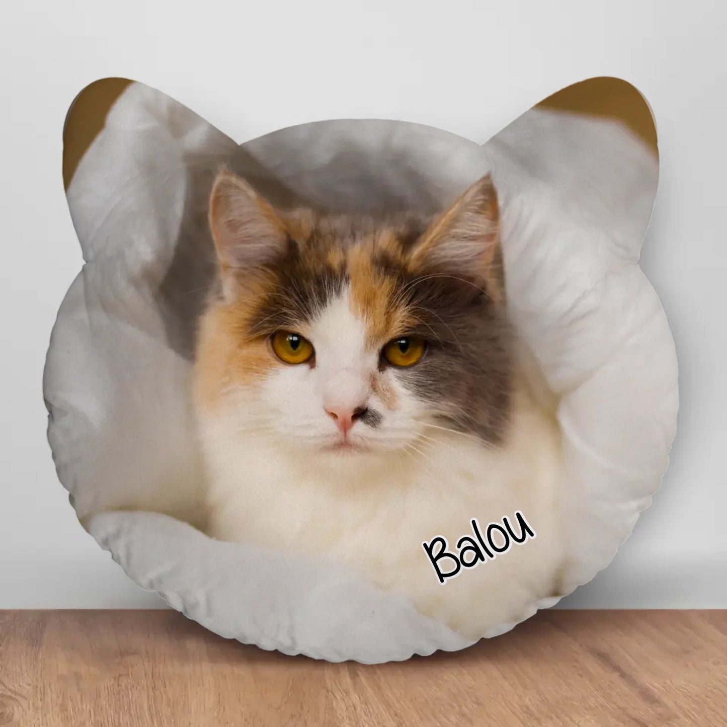 Cat Cushion 01